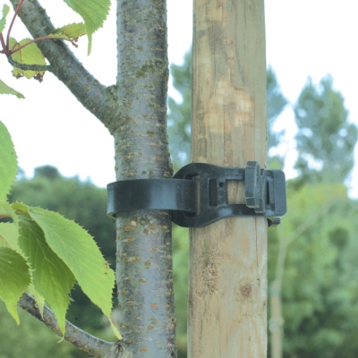 Viazacia páska na stromy - 36 cm