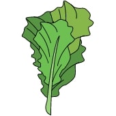 Listová zelenina